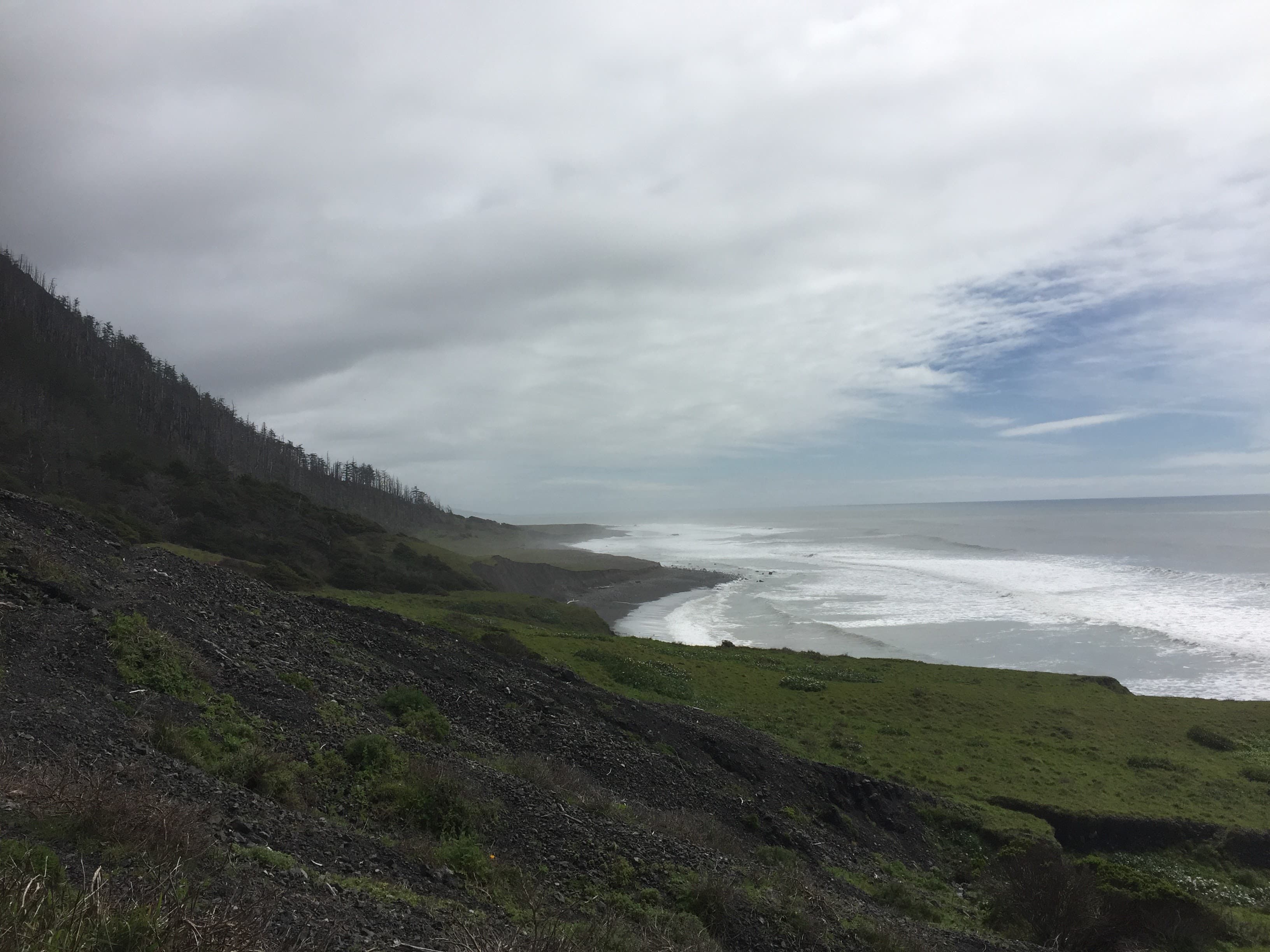 Scenic shot of the coastline on the Lost Coast