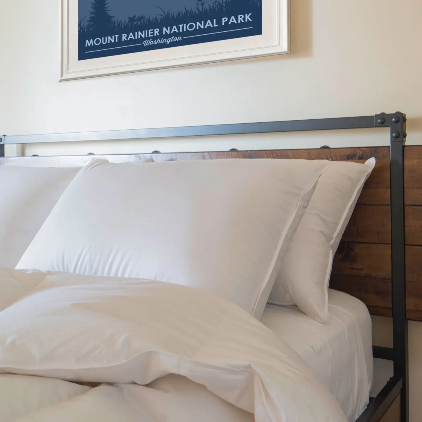 Down Pillow - 850 Fill